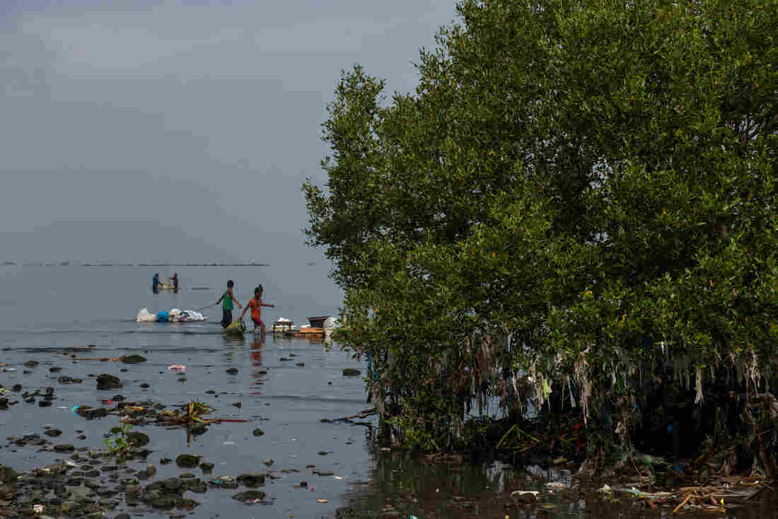 manila-bay-plastic-trash